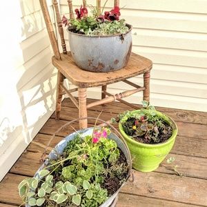 Meet your Posher, Misti